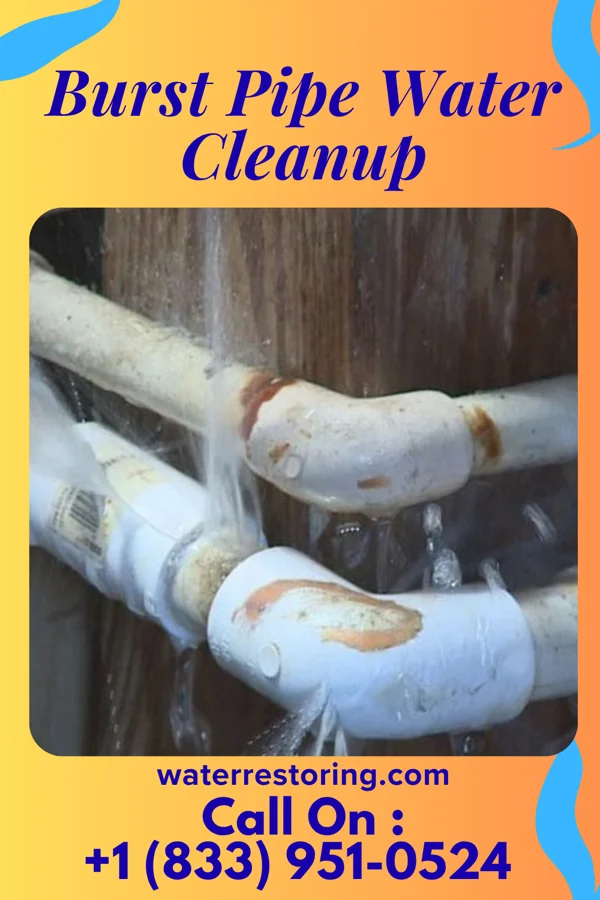 Burst Pipe Water Cleanup in New Salem, PA