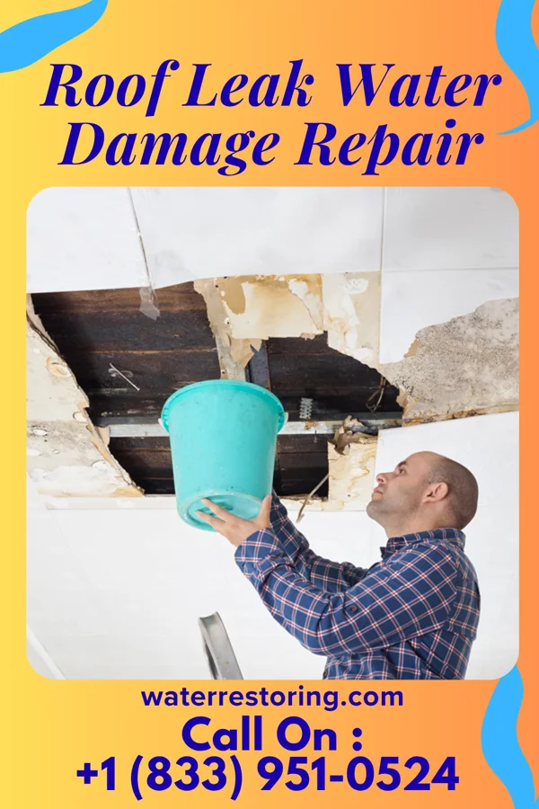 Roof Leak Water Damage Repair in New Salem, PA