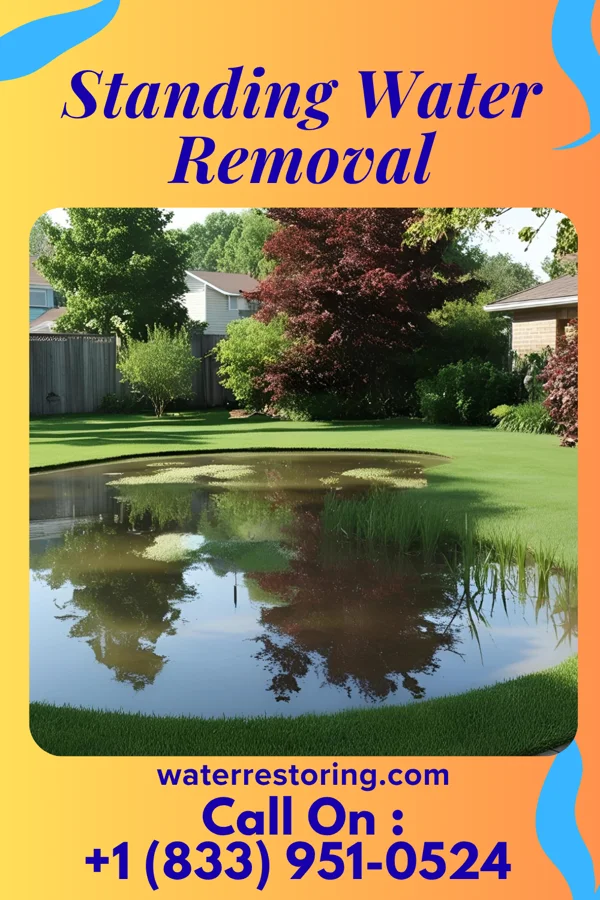 Standing Water Removal in New Salem, PA